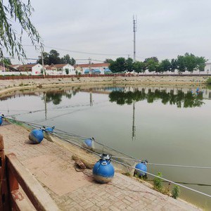 临清东胡路亚基地