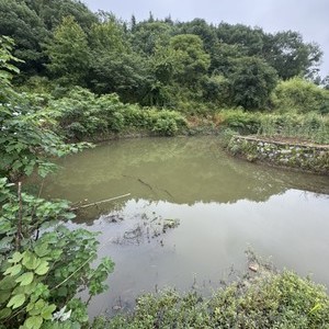 河道天气预报