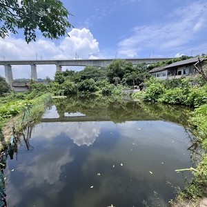 兴华农家鱼塘天气预报