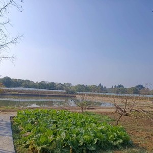 男神垂钓场（二）