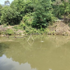 沙坪坝区桃花山庄