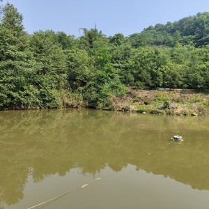 沙坪坝区桃花山庄