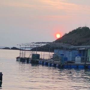 簨寮湾平航鱼排钓场天气预报