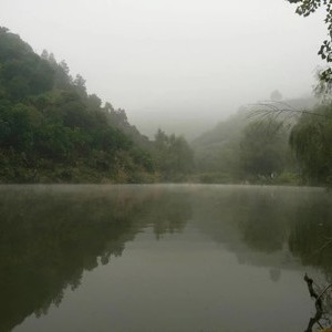 韭菜坪钓鱼山庄