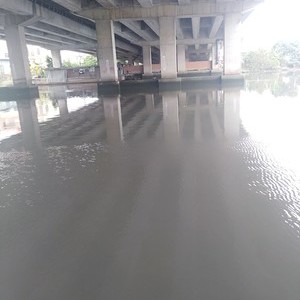 珠滘河东河桥天气预报