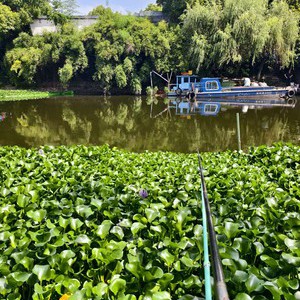 九沙河