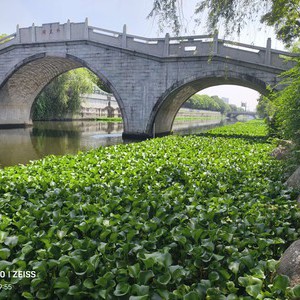 九沙河