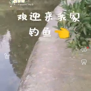 黄钵井村8组鱼塘天气预报