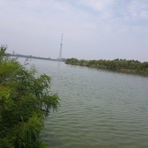东鱼河