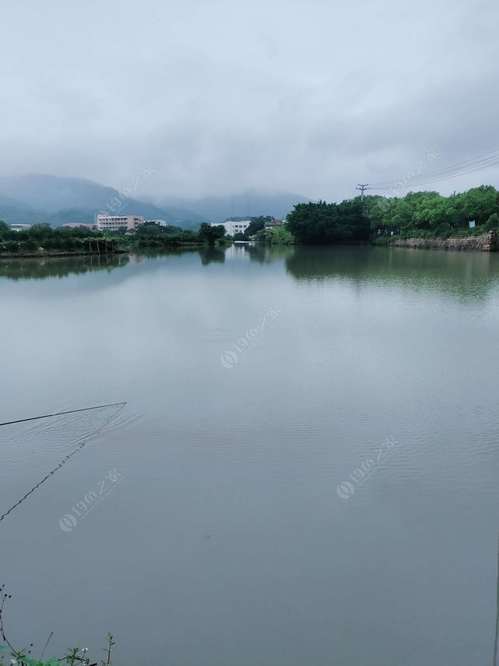 三垟湿地