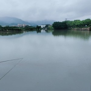 三垟湿地