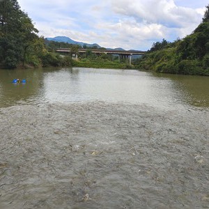 水美休闲钓场