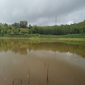 小龙潭镇绿差冲垂钓场