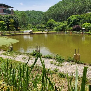 进兴源钓鱼山庄