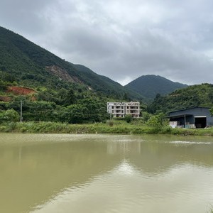 金三角休闲钓场天气预报