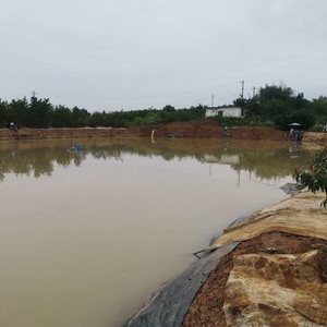 光明钓场天气预报