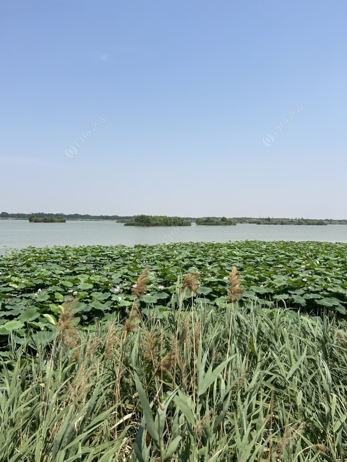 济南白云湖湿地公园