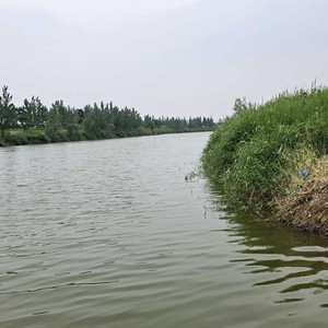 陈桥节制闸天气预报