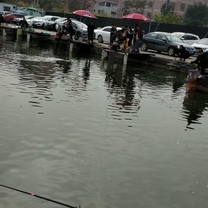小云南钓鱼场天气预报
