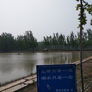 黄河桥头生态园垂钓园