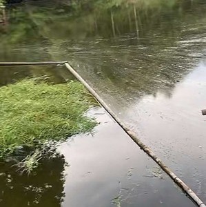 里田天气预报