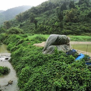 落窝寺钓场