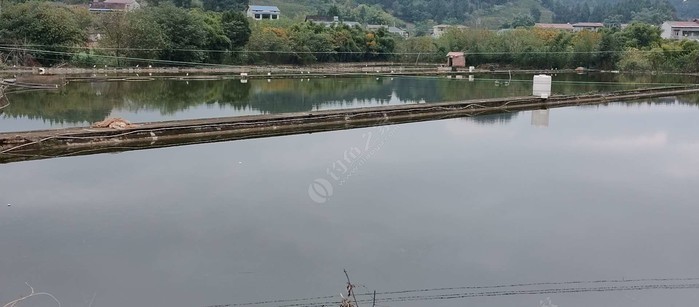 长河源镇龙凤村水产养殖基地