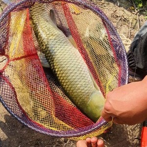 巴中回风毛家湾钓场