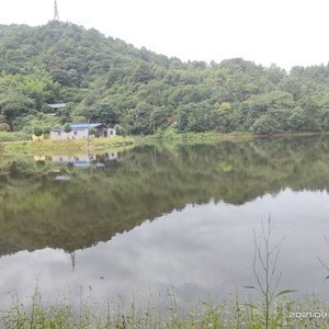 谷山园金甲水库