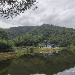 谷山园金甲水库