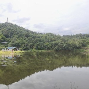 谷山园金甲水库