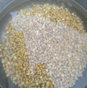 玉米小麦发酵窝料详细过程