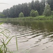 夏季防汛，河水湍急時的釣魚技巧，繃桿稍釣法——日記六十七