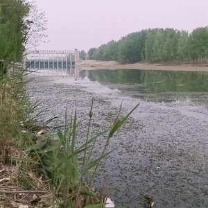 惠济河
