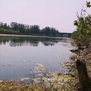 惠济河