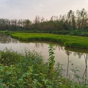 镇江上坝水库图片