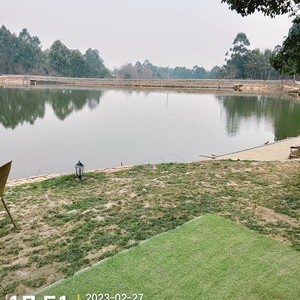 川一路亚垂钓基地天气预报