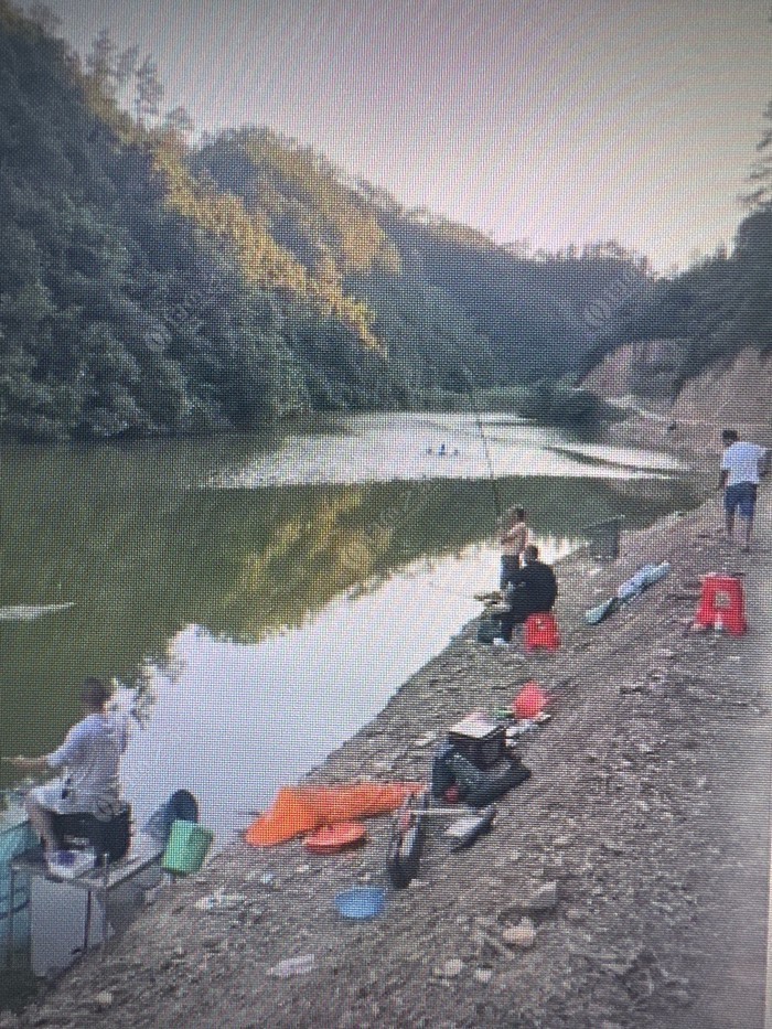 昌化水竹坞钓场