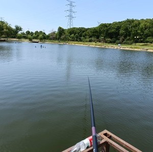 诸葛城休闲钓场