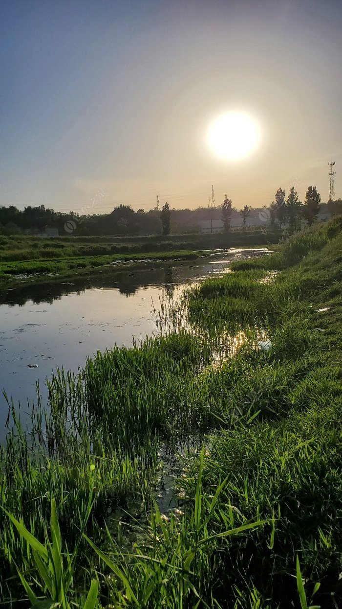 青草小河边图片