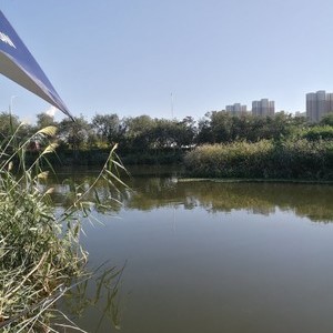 北塘排污河