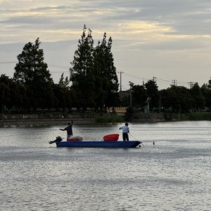 川杨河