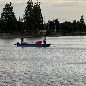 川杨河