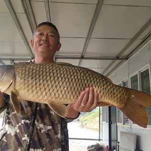 万峰湖三江口筏岸安静钓鱼台