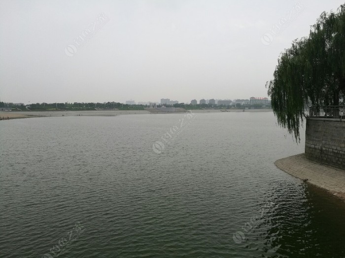 大河水库钓场位于山东省泰安市岱岳区环湖路岫湖花园旁边,鱼塘面积