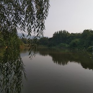 段李村鱼池
