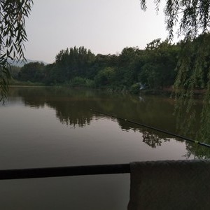 段李村鱼池
