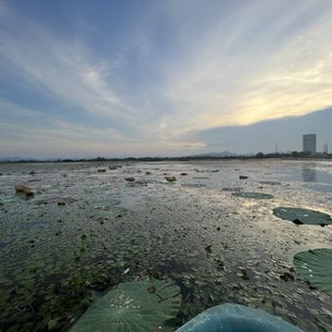 朱湖钓场