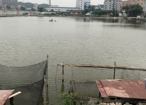 鑫丰瑞钓鱼场天气预报