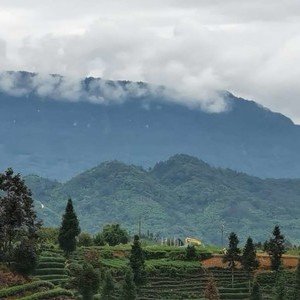 草原钓场